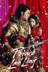 Prince of Lan Ling / Lan Ling Wang (2013)