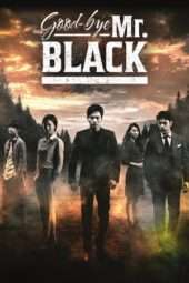 Goodbye Mr. Black (2016)