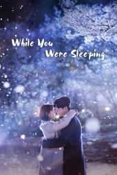 While You Were Sleeping (2017)