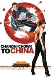 Chandni Chowk To China (2009)