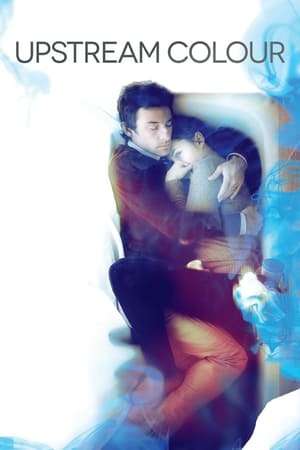 Upstream Color (2013)