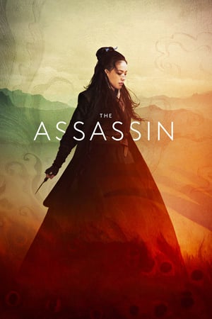 The Assassin (2015) jf