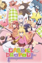 Gabriel DropOut (2017)