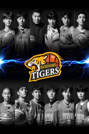 Handsome Tigers (2020)