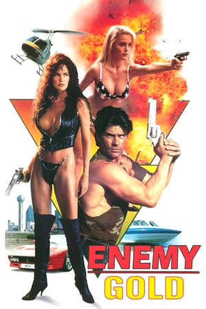 Nonton Enemy Gold (1993) Sub Indo jf