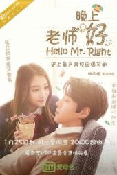 Nonton Film Hello Mr. Right (2016) Sub Indo