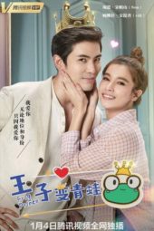 The Frog Prince / Rak Woon Wai Jao Chai Kob (2021)