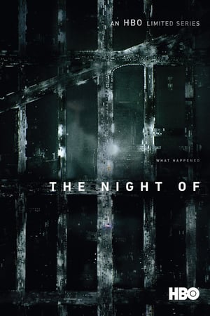 Nonton The Night Of S01 (2016) Sub Indo