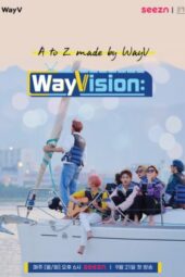 WayVision S01 (2020)