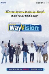 WayVision S02 (2021)