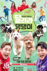 Nonton Run Puppy Run (2021) Sub Indo