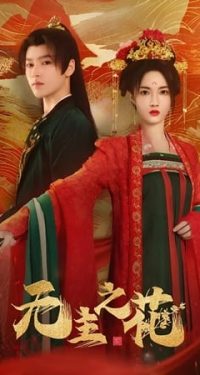 Nonton The Lady Commander (2024) Sub Indo