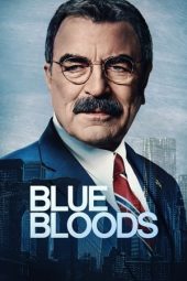 Blue Bloods Season 14 2010