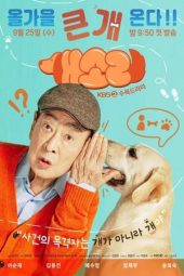 Nonton Dog Knows Everything 2024 Sub Indo