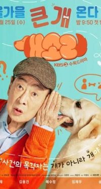 Nonton Dog Knows Everything 2024 Sub Indo